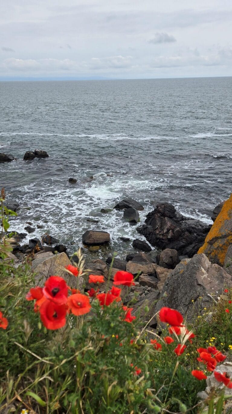 Rocky Coast of Black Sea