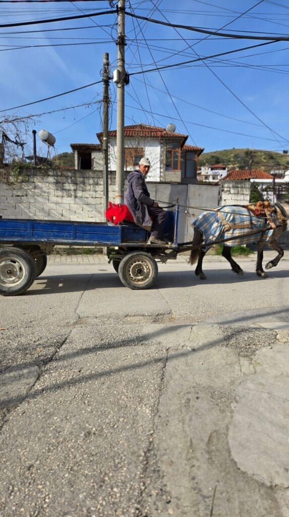 Albania's Past Lives With The Present. A Man Delivers Goods Down The Streets of Berat On His Horse Drawn Carriage.